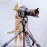 Profilbild von 猫太郎🐾🐾