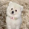Sofy's profile picture