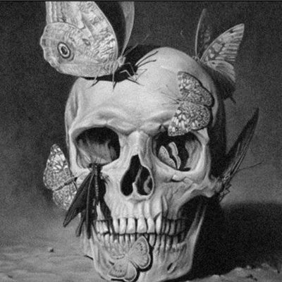 Absurdecesasaco's profile picture