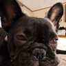 Фото профиля Boris