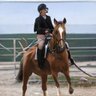 Melanie Guerrero's profile picture