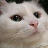 ティム's profile picture