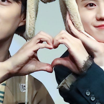 코튼볼's profile picture