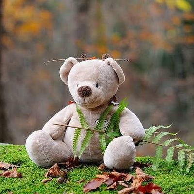 หมีน้อยคอยรัก's profile picture