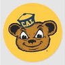 Cal Bearstein profil fotoğrafı