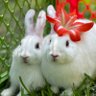 Profilbild von SixBuns
