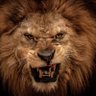Rob Richardson 🇺🇸's profile picture