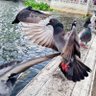 Tori_Jong2569ปีนี้ชีวิตผมต้องดีขึ้น🕊's profile picture