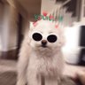 Noah's profile picture