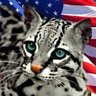 🇺🇲😺RustyTheOcelot😺🇺🇲 profil fotoğrafı