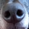 Profilbild von Alison