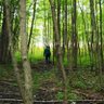 Profilbild von Beech Creek