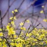 Фото профиля XIAOXIAO1111