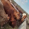 mvule profil fotoğrafı