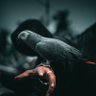 🕊You reap what you Sow🕊️ profil fotoğrafı