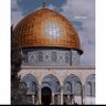 Фото профиля Hager Elargawy