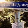 habib 的头像