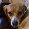 Profilbild von #jessiesuchagoodgirl