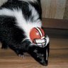 Browns Rally Skunk 的头像