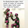 ODİN 的头像
