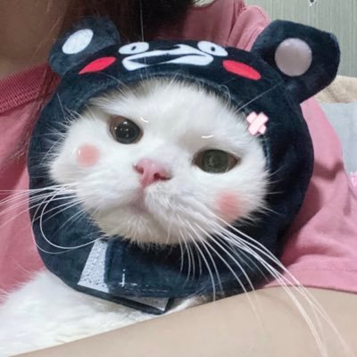 C's profile picture