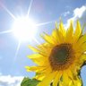 Monaliza smile☀🌻🤍☁ profil fotoğrafı