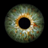Profilbild von zoom