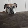 Tom McCurry's profile picture