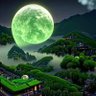 zhang lao's profile picture