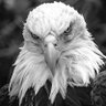 anonymous prophet recycled garbage's profile picture