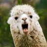 Profilbild von Louceng