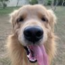 max's profile picture