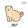 大俠's profile picture