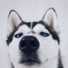 Profilbild von Dong