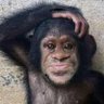 William's profile picture