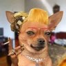 Ana's profile picture