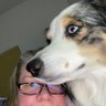 Whitney Lassini's profile picture