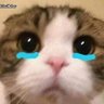 plaisanter's profile picture