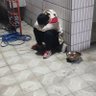 Profilbild von 大小树树