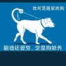 苍天已死 profil fotoğrafı