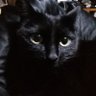 Stefan Hägg's profile picture