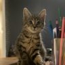 Profilbild von Daniel