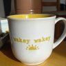 Morning Glory's profile picture