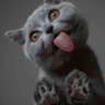 MeM's profile picture