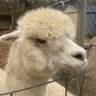 Brian profil fotoğrafı