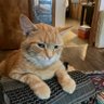 Max's profile picture