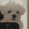 C's profile picture