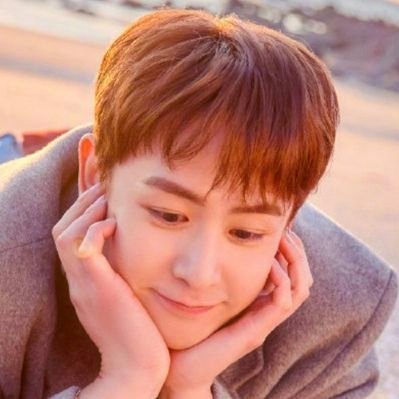 ikkyu_petrichor's profile picture