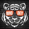 DanielDubs's profile picture