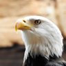 jehlm profil fotoğrafı